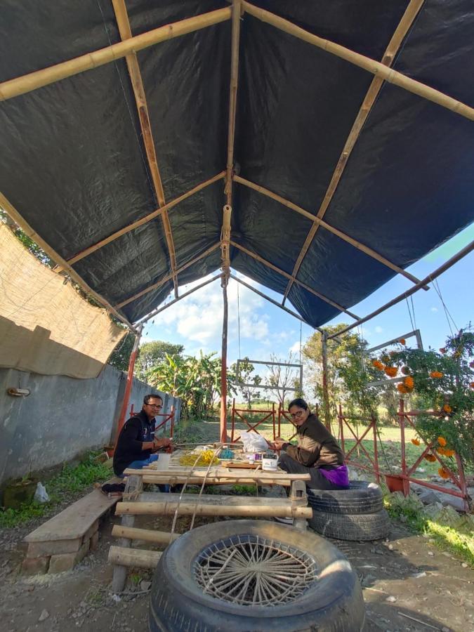 Sun N Soil Backpacker Hostel Lachhiwala Exterior foto